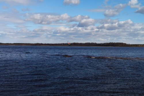Burtnieku ezers