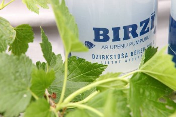 Birzī